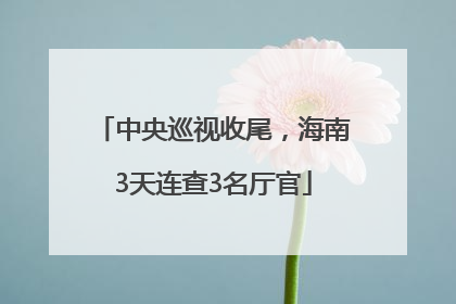 中央巡视收尾，海南3天连查3名厅官
